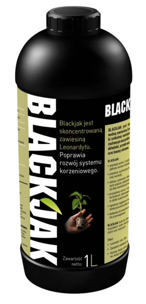 Blackjak