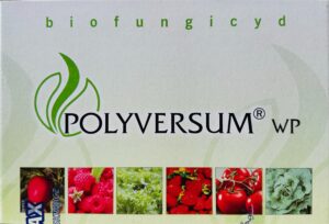 Polyversum