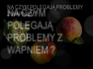 Problem z niedoborem wapnia powodują występowania gorzkiej plamistości podskórnej.