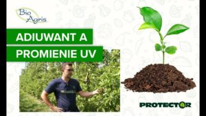 Czy stosować Protector, gdy nie pada deszcz?