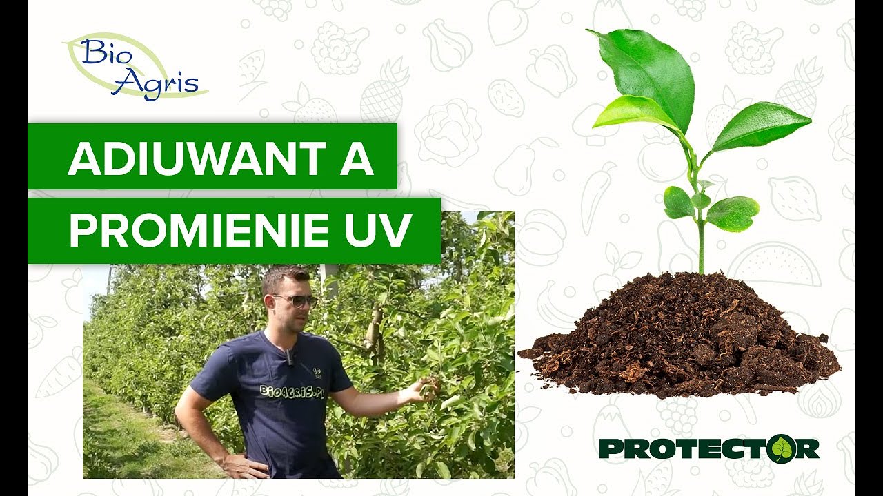 Czy stosować Protector, gdy nie pada deszcz?