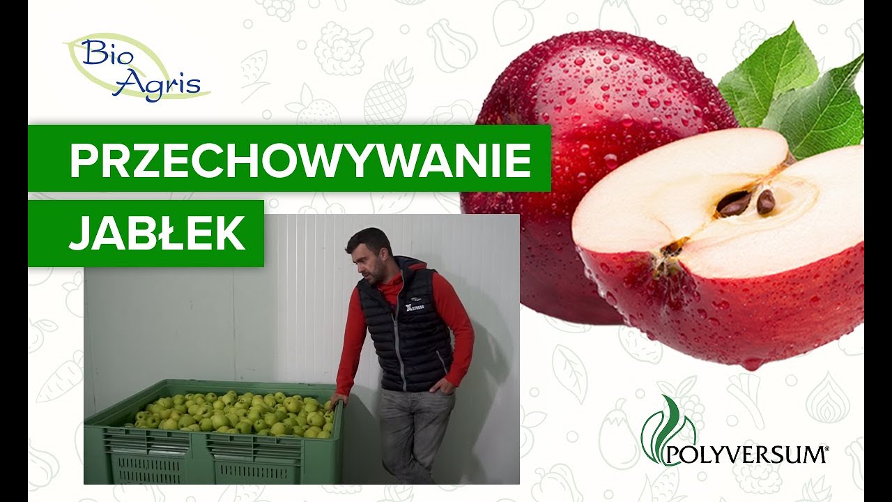 Przechowanie jabłek szampion dla dużych sadowników. Profesjonalna uprawa jabłek.