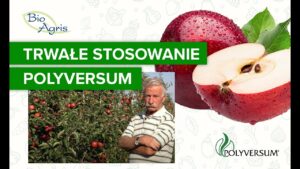 Jak biologicznie zapobiegać chorobom przechowalniczym?