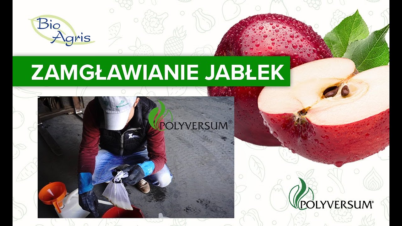 Zamgławianie od A do Z.