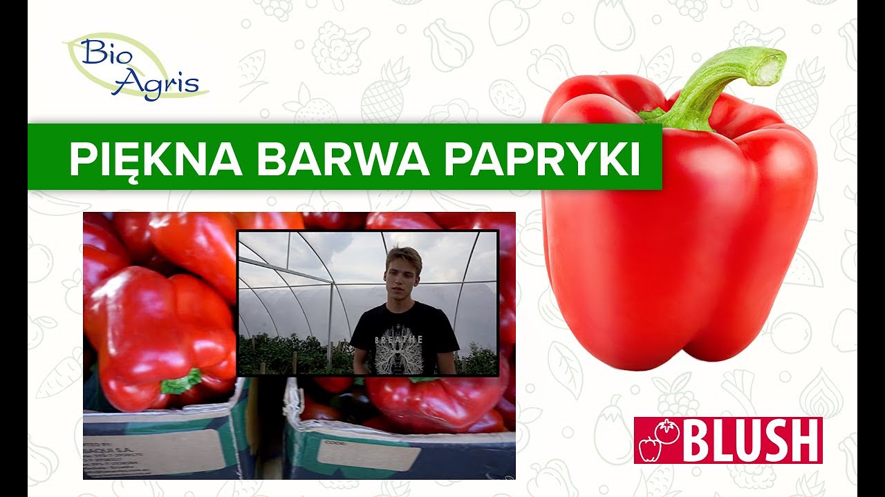 Jak porawić wybarwienie papryki