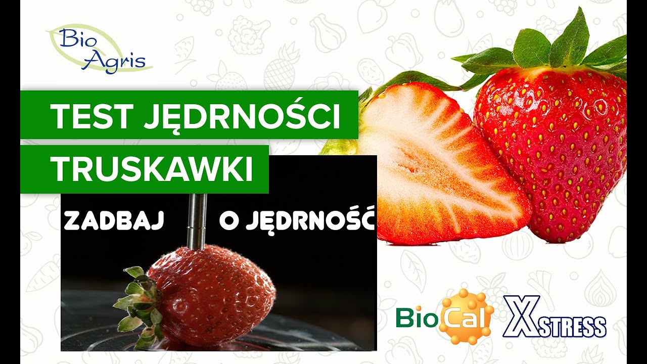 Zadbaj o jędrność truskawki