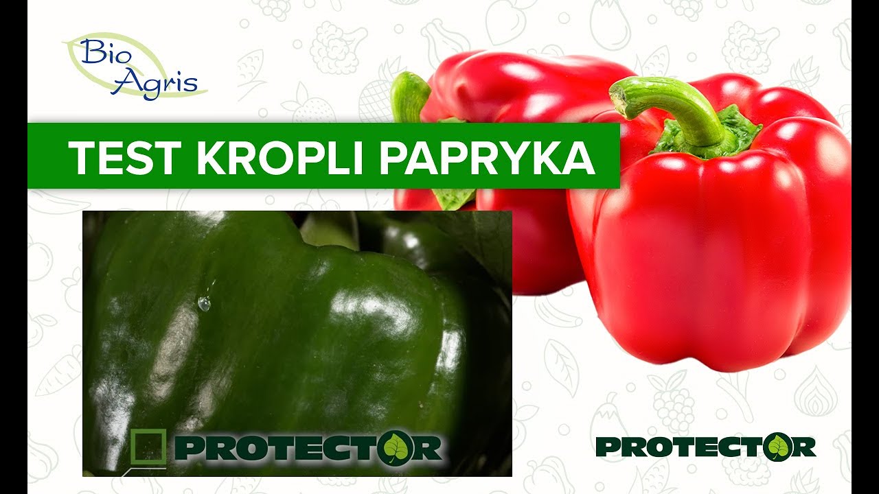 Zachowanie się kropli na papryce w zależności od zastosowanego adiuwenta.