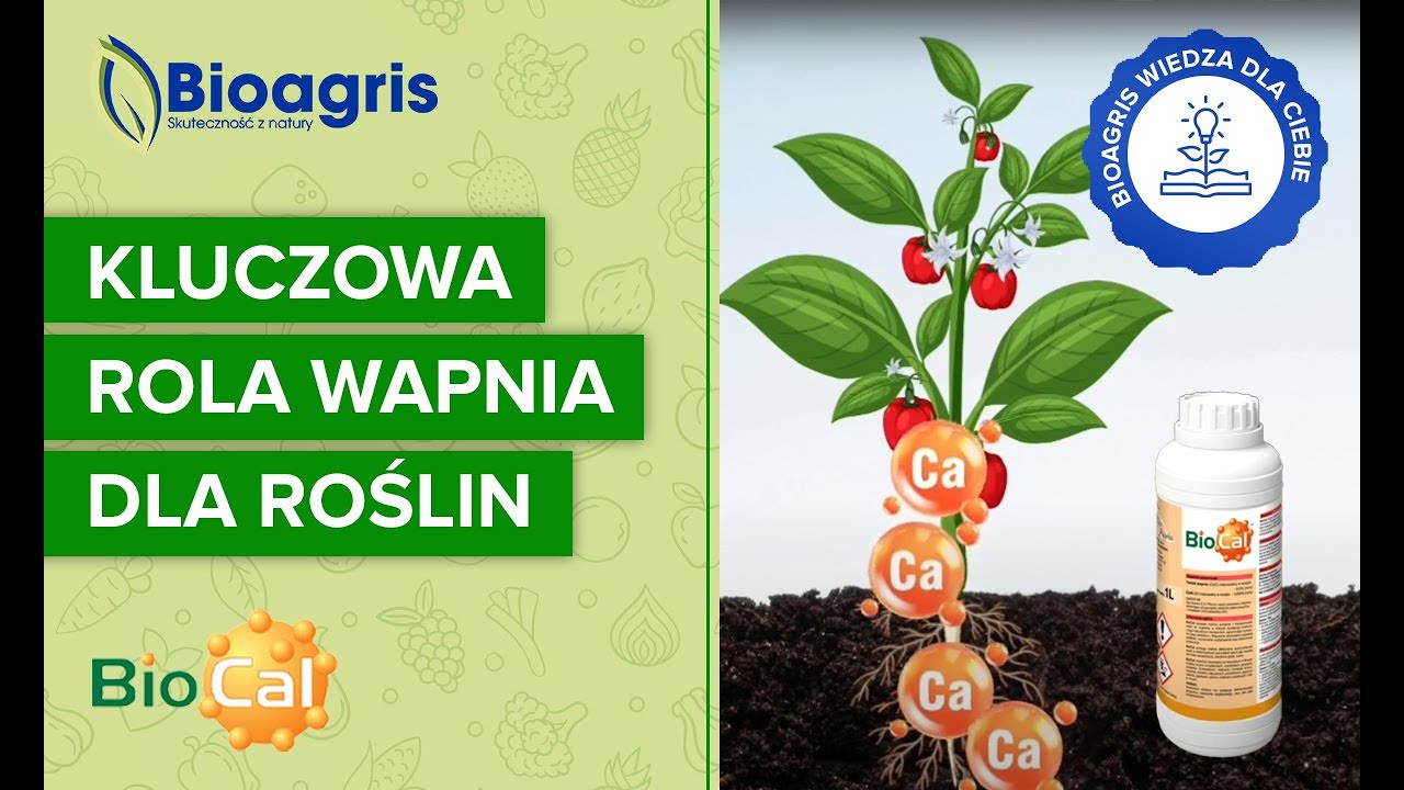 Bioagris – wiedza dla Ciebie! Odcinek 2. Jak zapewnić roślinom odpowiednią ilość wapnia?
