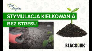 Efekty stosowania BlackJak? Wspomaganie kiełkowania i ograniczenia stresu podczas przesadzania.