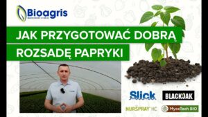 Produkcja rozsady papryki i wzmocnienie systemu korzeniowego. Zabiwgi produktami Bioagris.