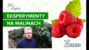 Wpływ Xstress na poprawę parametrów jakościowych maliny
