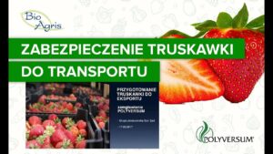 Przygotowanie truskawki do przechowania