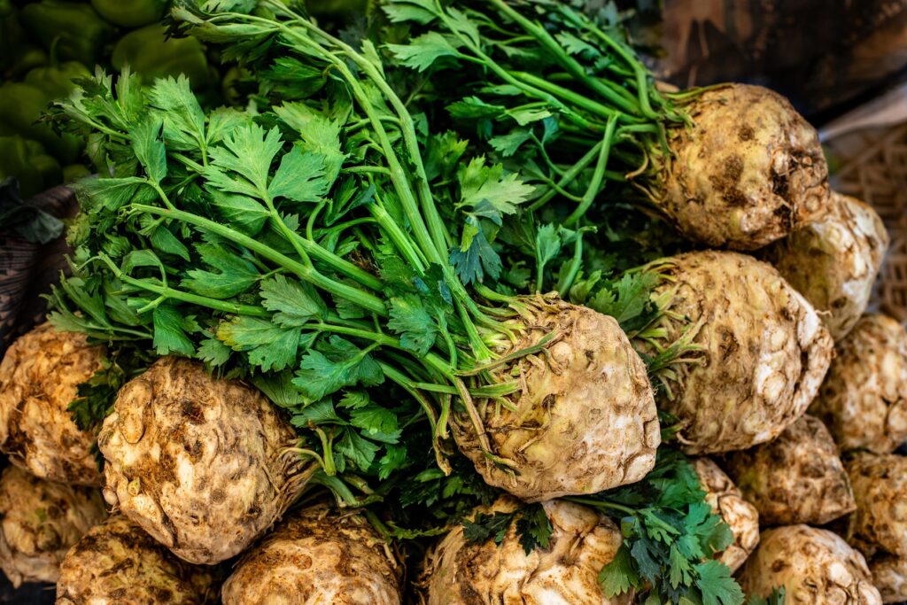 Składowanie 300 ton selera w profesjonalnej chłodni z ochroną przed psuciem.