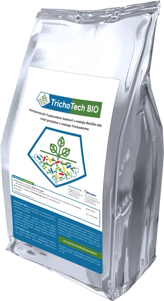 System korzeniowy papryki po aplikacji TrichoTech BIO – skuteczna ochrona biologiczna i wsparcie rośliny w walce z patogenami glebowymi.