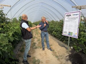 Jak utrzymać równowagę wzrostu i jakość owoców mimo stresu? Relacja z Malinowego Factory 2026