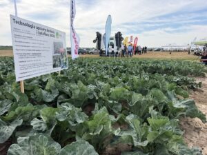Bioagris na Kwidzyńskim Dniu Warzyw – NH Delta i XStress w warzywach kapustnych